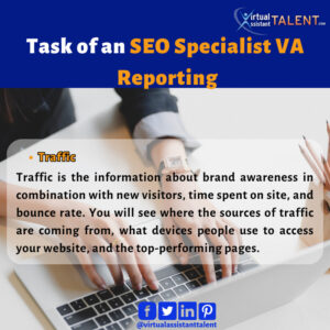 Monitor Traffic - SEO task