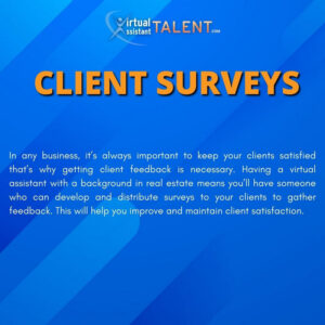 Client Surveys - Real Estate Virtual Assistant