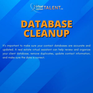 Database Cleanup - Real Estate Virtual Assistant